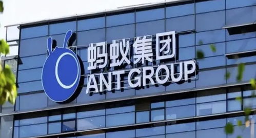 螞蟻集團(tuán)旗下數(shù)字螞力科技增資至1億，軟件外包服務(wù)能力再獲提升